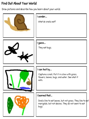 Inquiry - snails