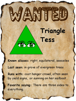triangle_wanted-1.png