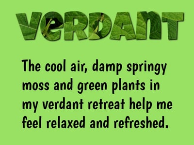 wixie-sample-coolword-vocab-verdant