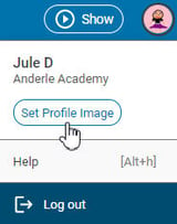 wixie-set-profile-image-option