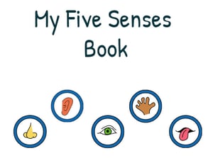 wixie-template-5-senses-book